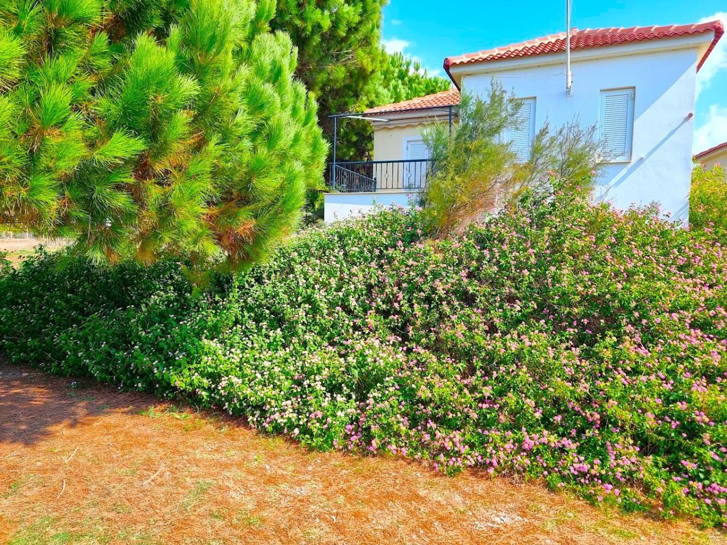 Romanos Beach Villas Екстериор снимка